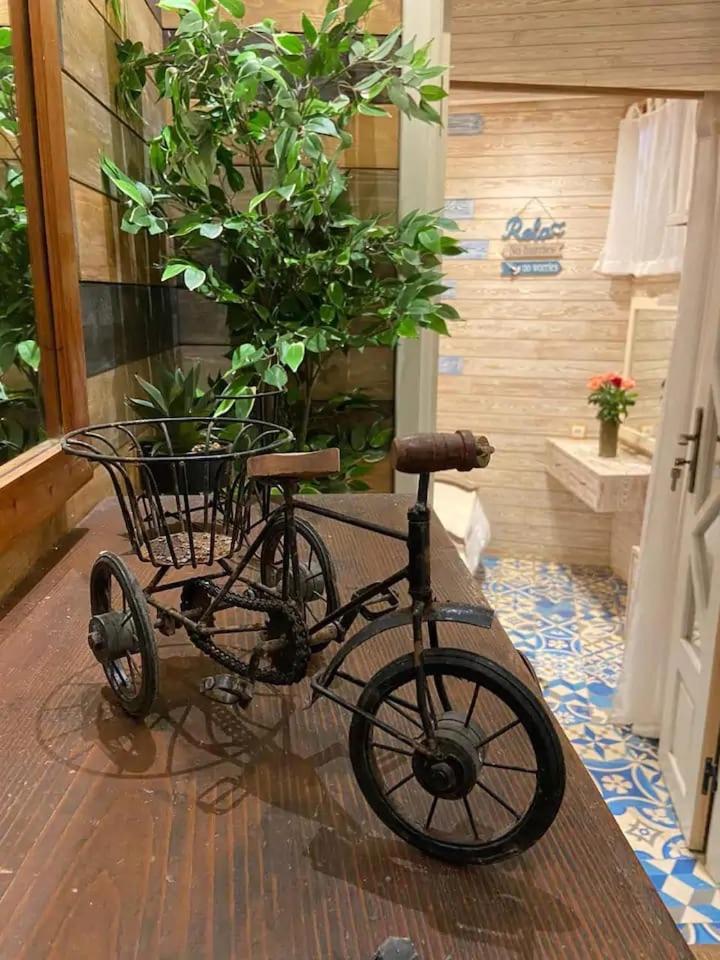 索维拉Casa Cameleon公寓 外观 照片